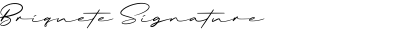 Briquete Signature
